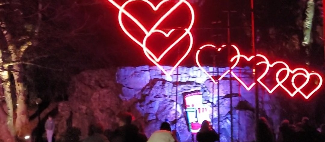 Winterlichter im Palmengarten