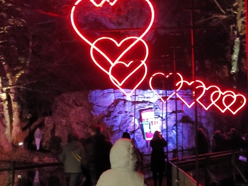 Winterlichter im Palmengarten